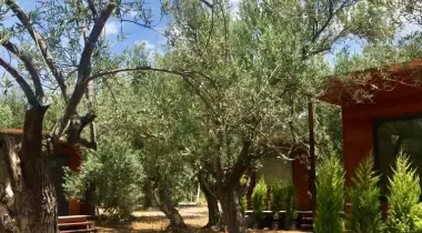 Assos Club Beyaz Bungalow