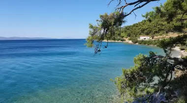 Turnalı Boncuk Camping
