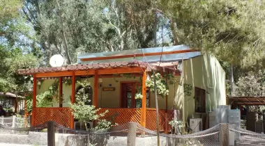 Gümüldür Orman Kampı