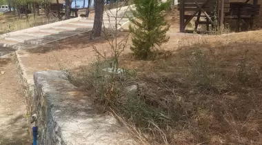 Riva Koru Park Piknik Kamp Alanı