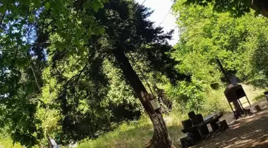 Tavus Kuşu Camping