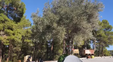 Kamp Adana Macera Parkı Kamp Alanı