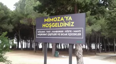 Mimoza Çay Bahçesi
