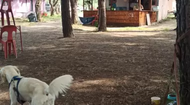 Cumhuriyet Camping