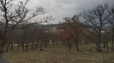 Kurudere Kamp Ve Piknik Alanı