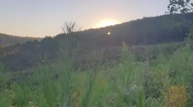 Kamp Adana Macera Parkı Kamp Alanı