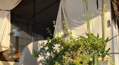 No12 Gümüşlük Glamping