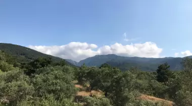 Jippe İda Dağ Evleri