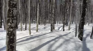 Eriklitepe Tabiat Parkı