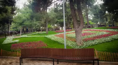 Düdük Baba Oramanı