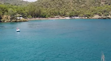 Katrancı Orman Kampı