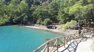 Katrancı Orman Kampı