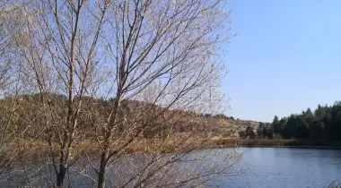 Yaylak Göleti