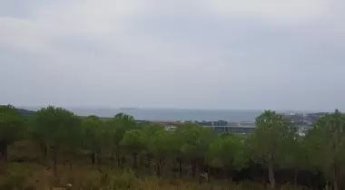 Riva Koru Park Piknik Kamp Alanı