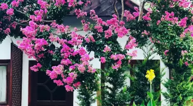 Çıralı Chimera Camping & Bungalow