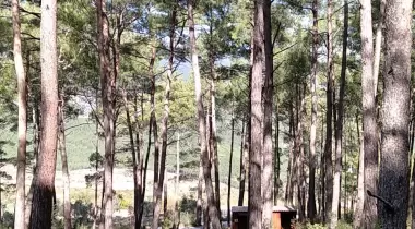 Kamp Adana Macera Parkı Kamp Alanı