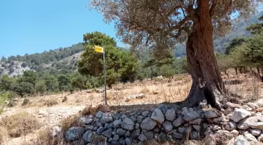 Çeti Camping