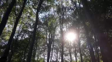 Eriklitepe Tabiat Parkı