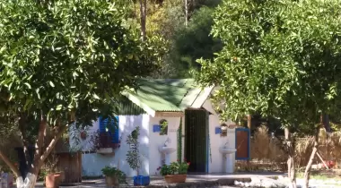 Kestep Sanat ve Yasam Kampı