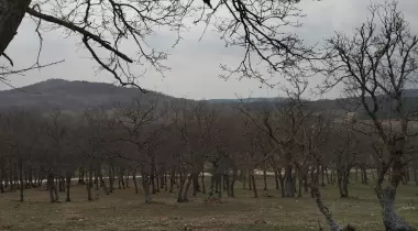 Kurudere Kamp Ve Piknik Alanı
