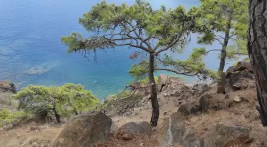 Sibel'in Koyu