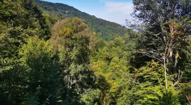 Kartepe Ayrı Gezegen Cam Teras