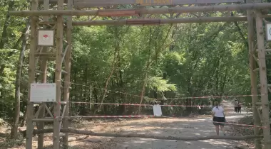 İğneada Longoz Ormanları Milli Parkı