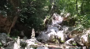 Ridocamp