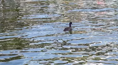 Seka kamp piknik alanı