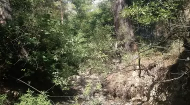 Secret Garden Kabak