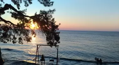 Çam Kamping