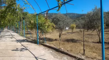 Derin Afkule Kamping