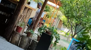 Papaya Camping