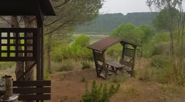 Riva Koru Park Piknik Kamp Alanı