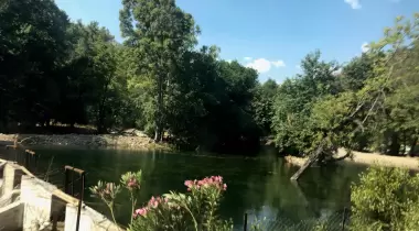 Kestep Sanat ve Yasam Kampı