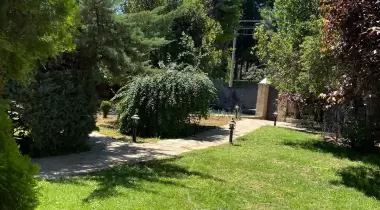 Antalya Wood Home