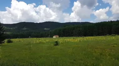 Şahinler Tabiat Parkı