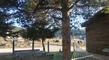 Sarıalan Dağevi