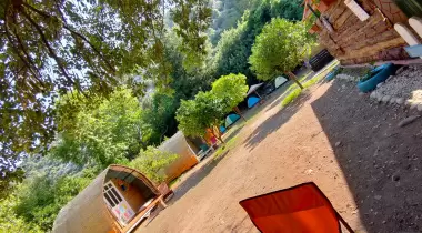 Papaya Camping