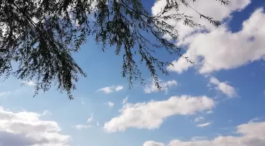 Kızılcasöğüt Göleti