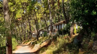 Akyaka Orman Kampı