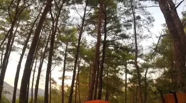 Kamp Adana Macera Parkı Kamp Alanı