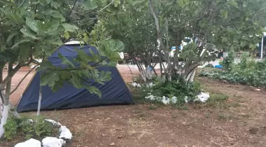 Doğa ve çevre aktivistleri