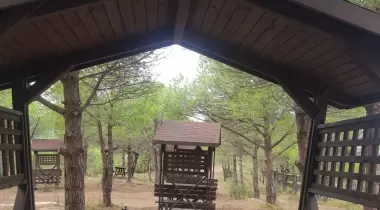 Riva Koru Park Piknik Kamp Alanı