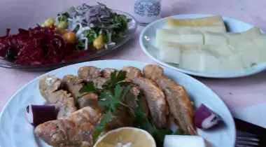 Hamdinin Yeri Kamping