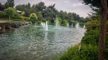 Düdük Baba Oramanı