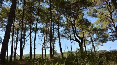 Mutlu Tatil Köyü