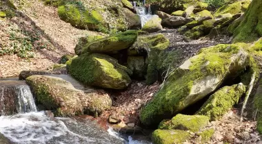 Suuçtu Tabiat Parkı