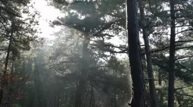 Sedat'ın Yeri Kamp Alanı