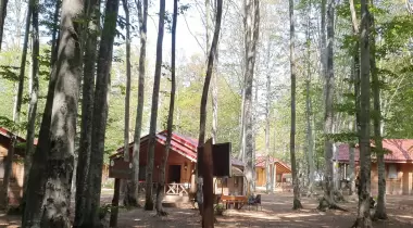 Eriklitepe Tabiat Parkı